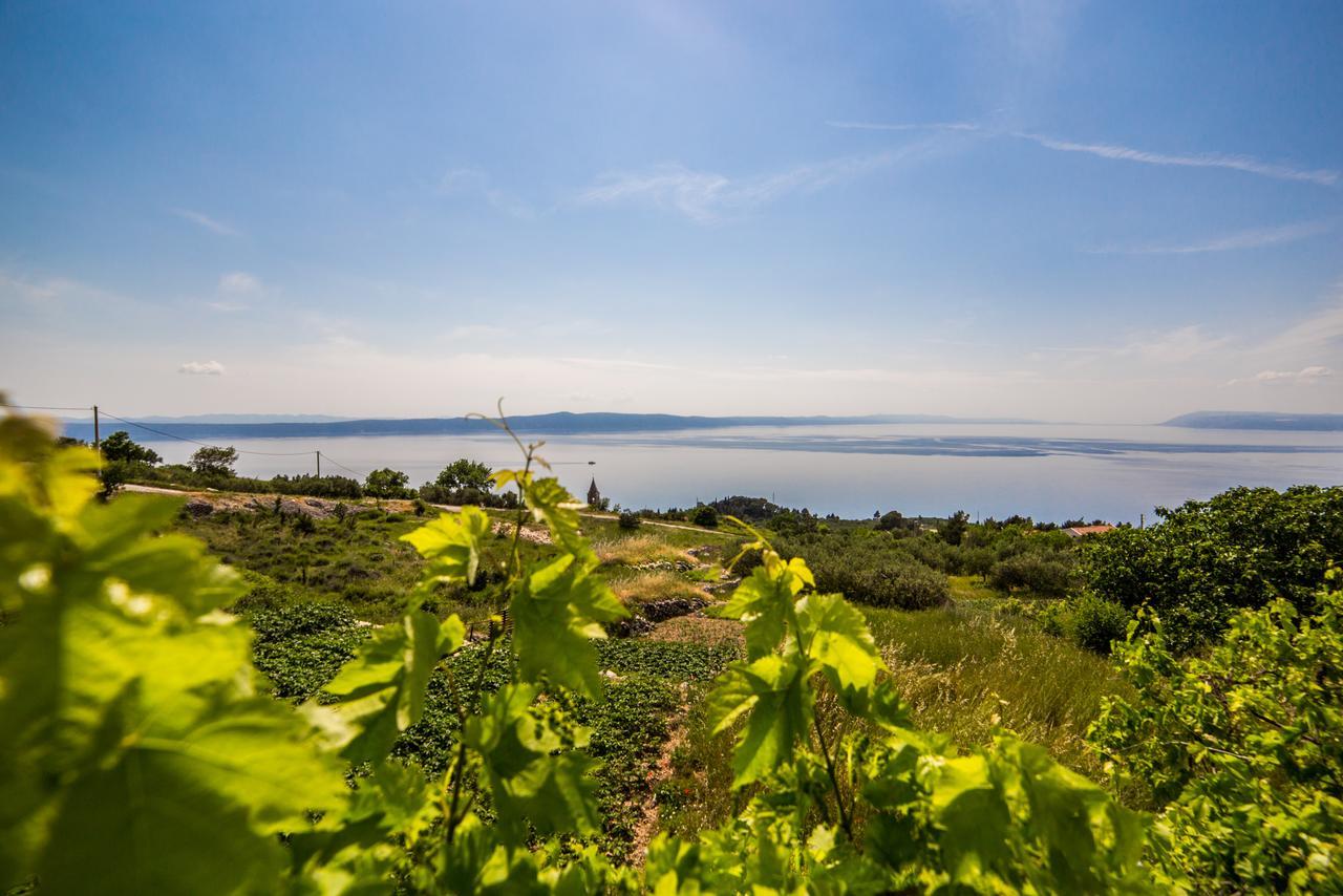 Holiday Home - 300 Years Podgora Buitenkant foto